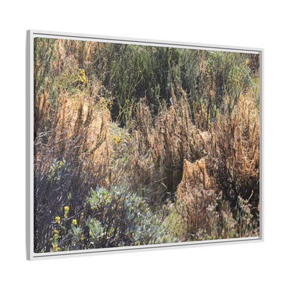 Drought-Stricken Landscape - Unique Stretched Canvas Wall Art - Art By Earth