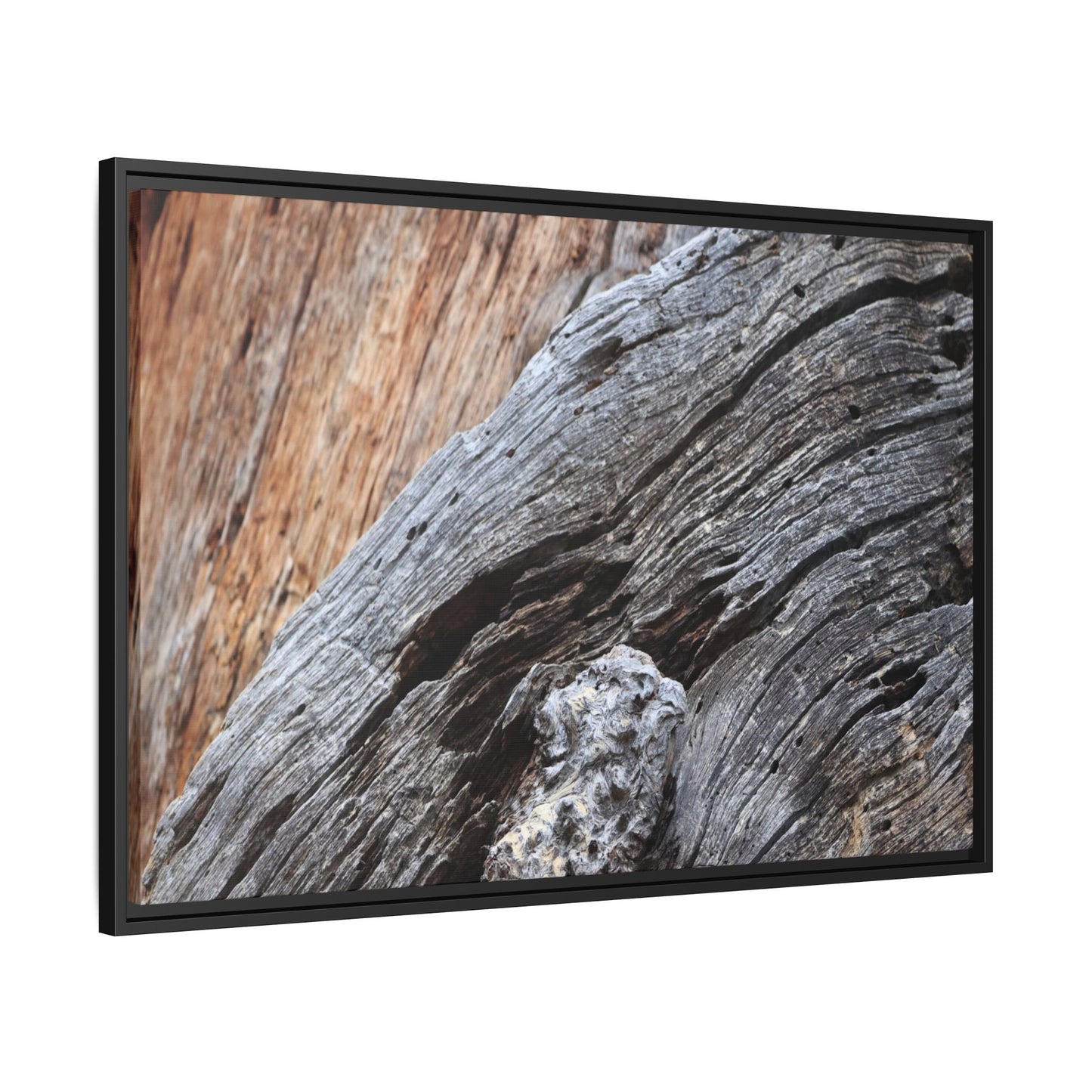 Time's Mark on Timber - Unique Stretched Canvas Wall Art - Art By Earth