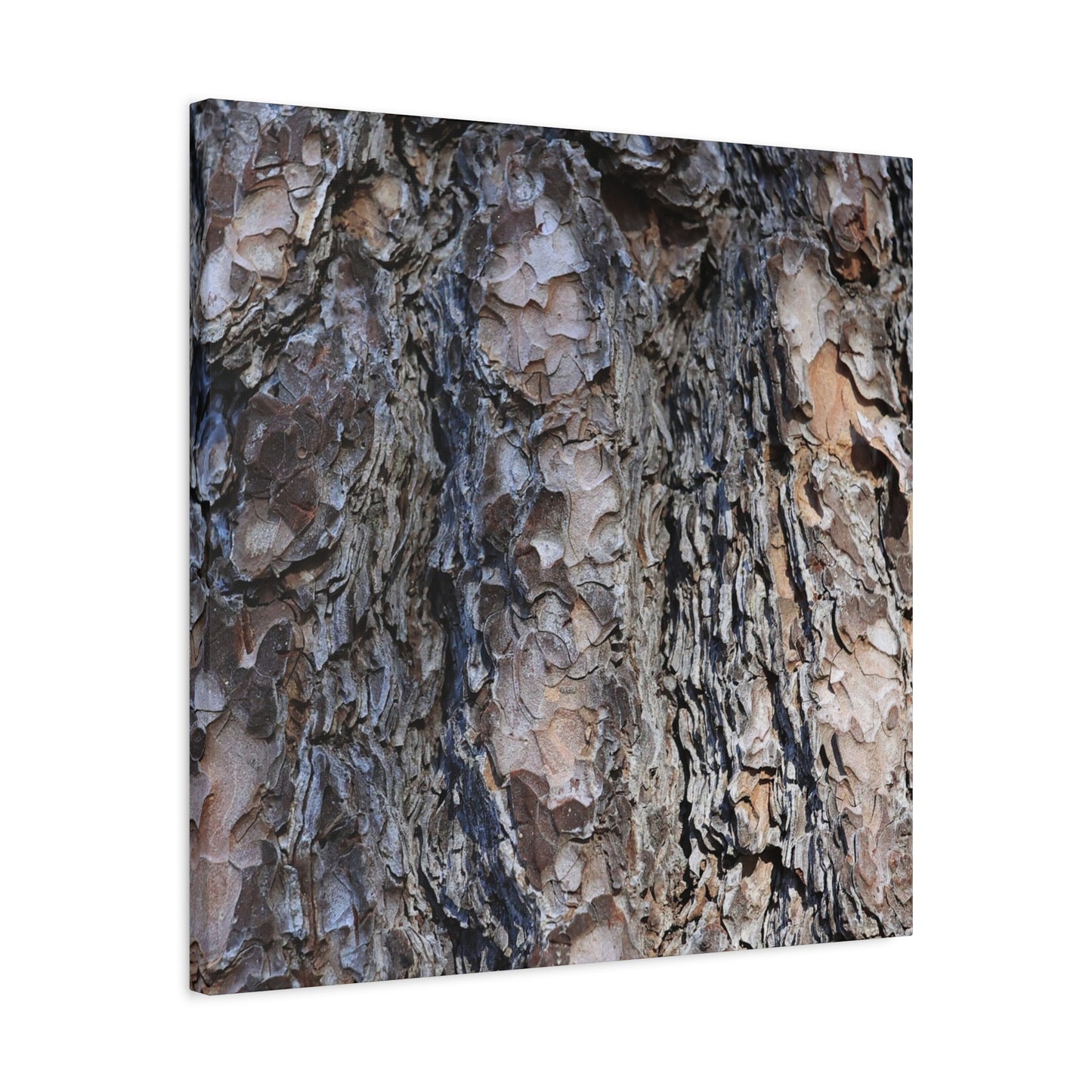 Bark's Rugged Symphony - Unique Frameless Canvas Wall Art - Art By Earth