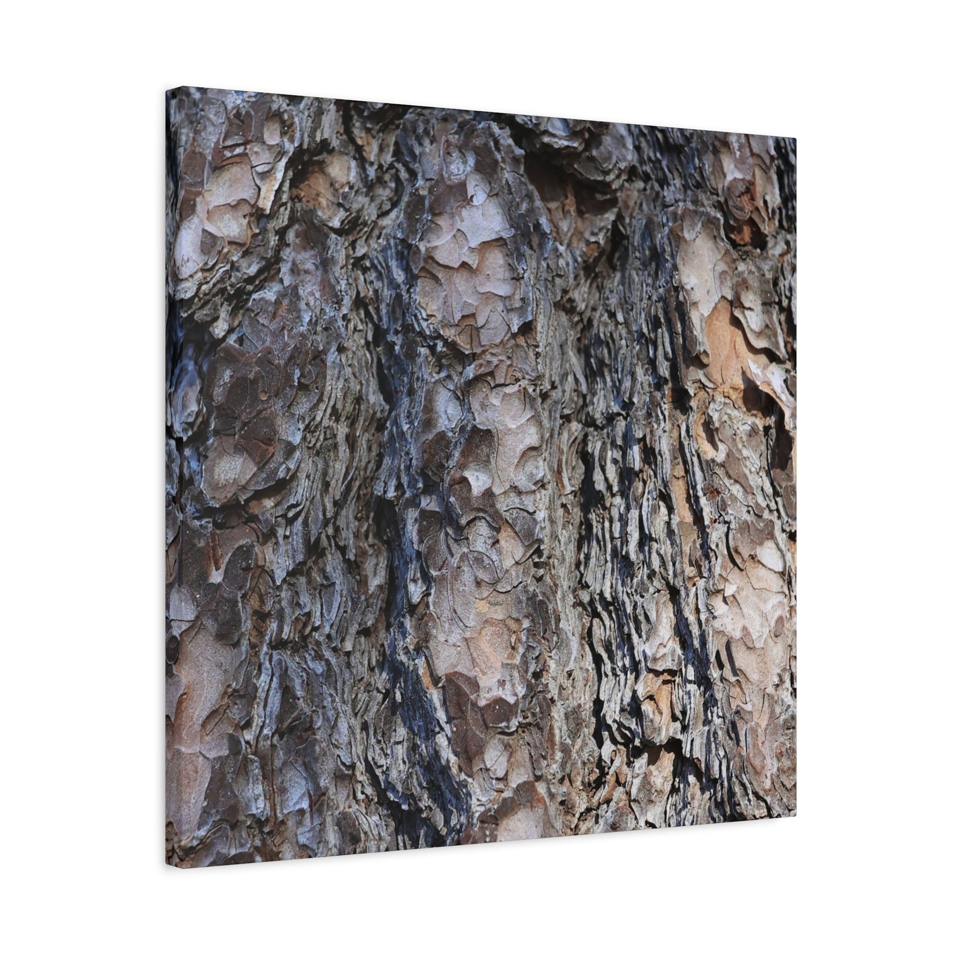 Bark's Rugged Symphony - Unique Frameless Canvas Wall Art - Art By Earth