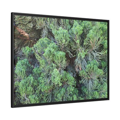 Verdant Whispers - Unique Stretched Canvas Wall Art - Art By Earth