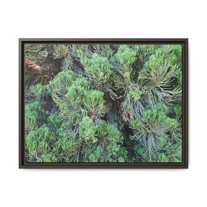 Verdant Whispers - Unique Stretched Canvas Wall Art - Art By Earth