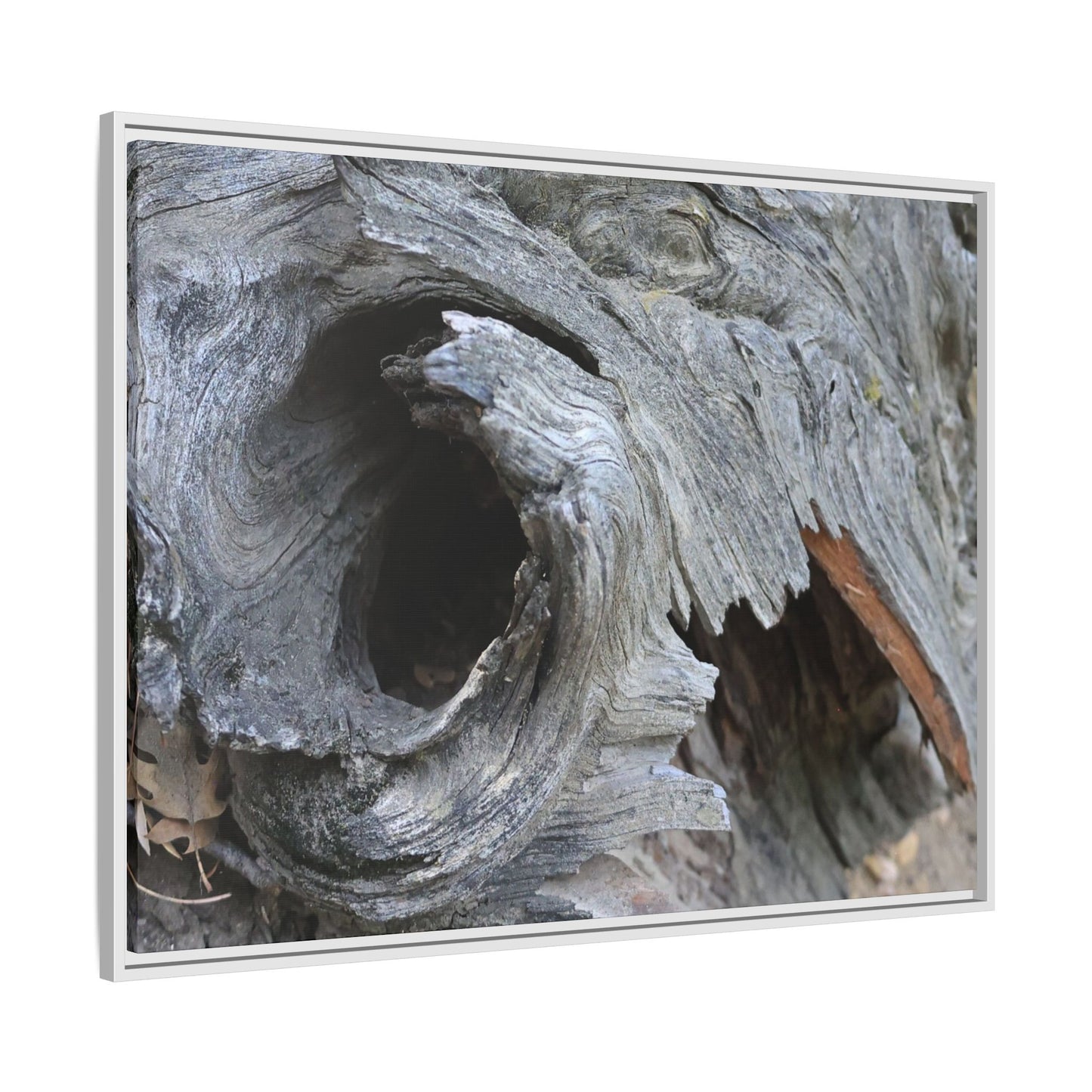 Bark's Labyrinth - Unique Stretched Canvas Wall Art - Art By Earth