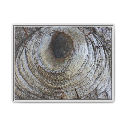 Echoes of Time - Unique Stretched Canvas Wall Art - Art By Earth