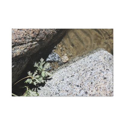 Between Stone and Sand - Unique Frameless Canvas Wall Art - Art By Earth