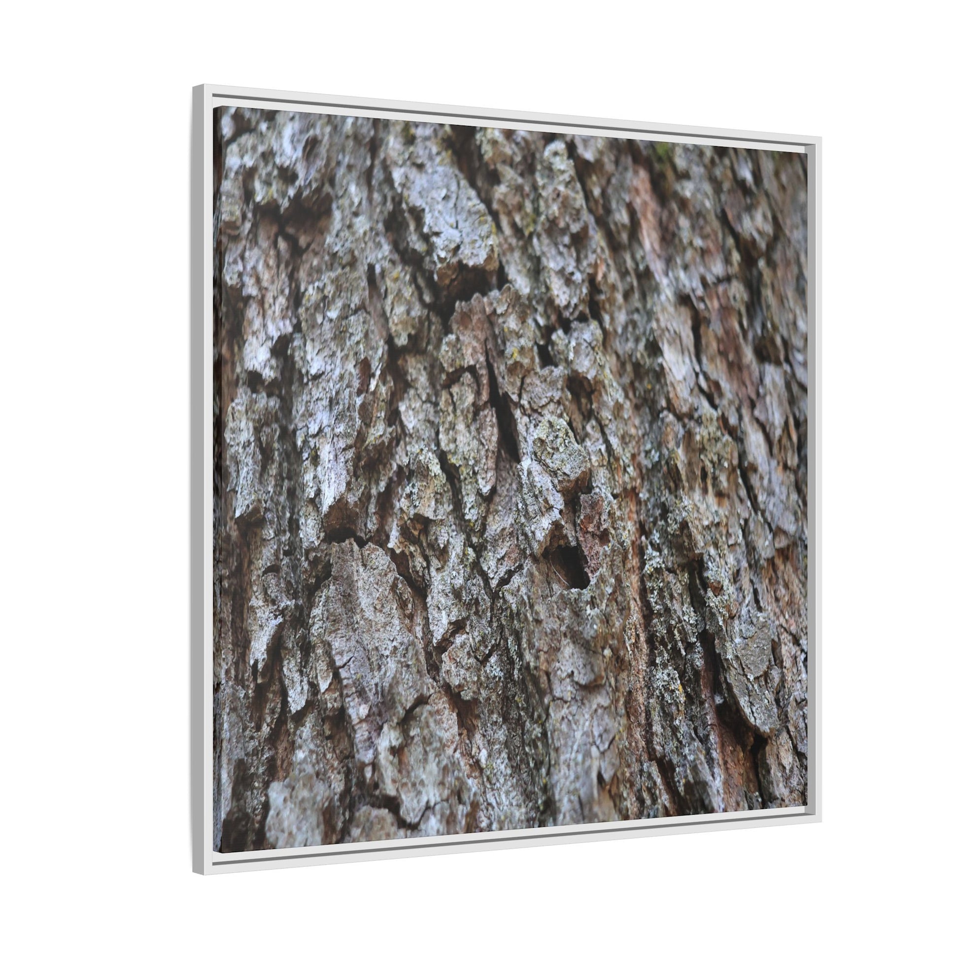 Woodland Canvas - Unique Stretched Canvas Wall Art - Art By Earth