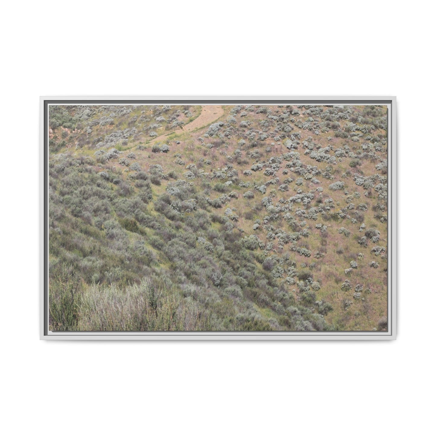 Arid Landscape with Winding Path - Unique Stretched Canvas Wall Art - Art By Earth