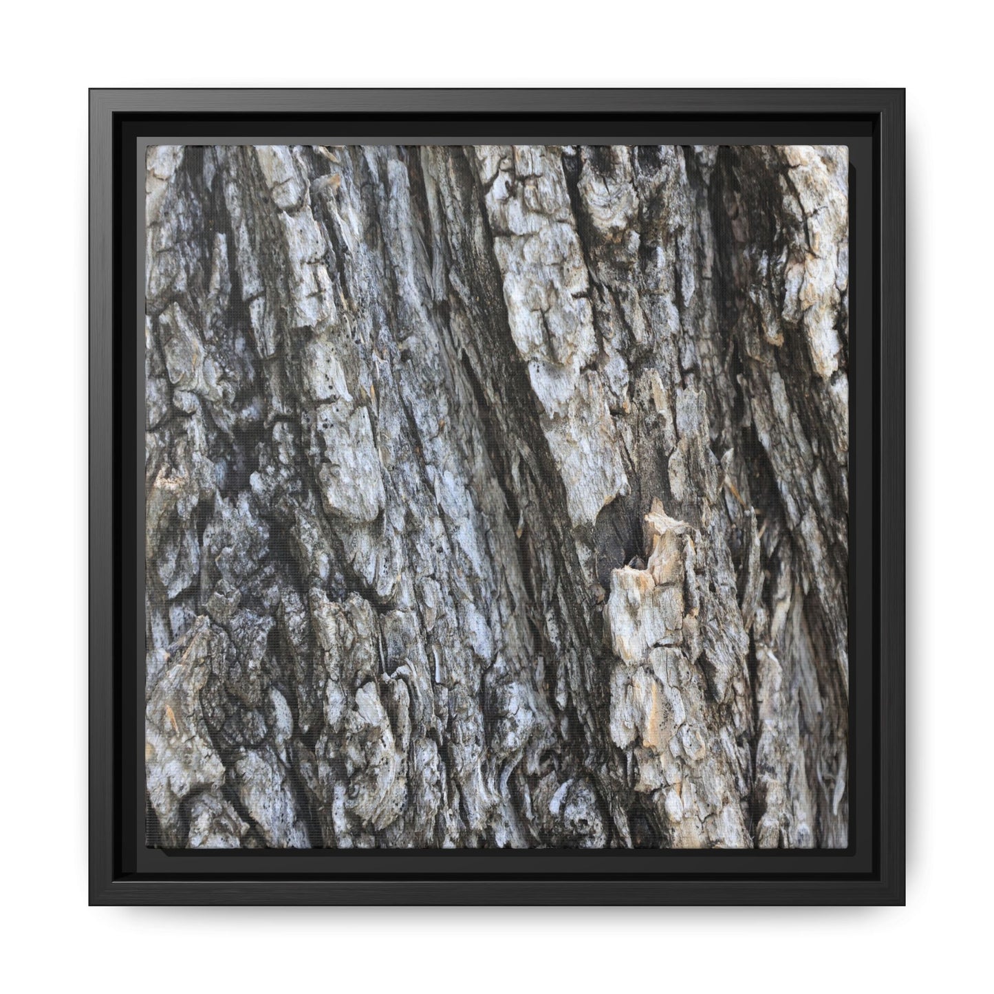 Twisted Textures - Unique Stretched Canvas Wall Art - Art By Earth