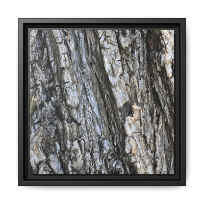 Twisted Textures - Unique Stretched Canvas Wall Art - Art By Earth