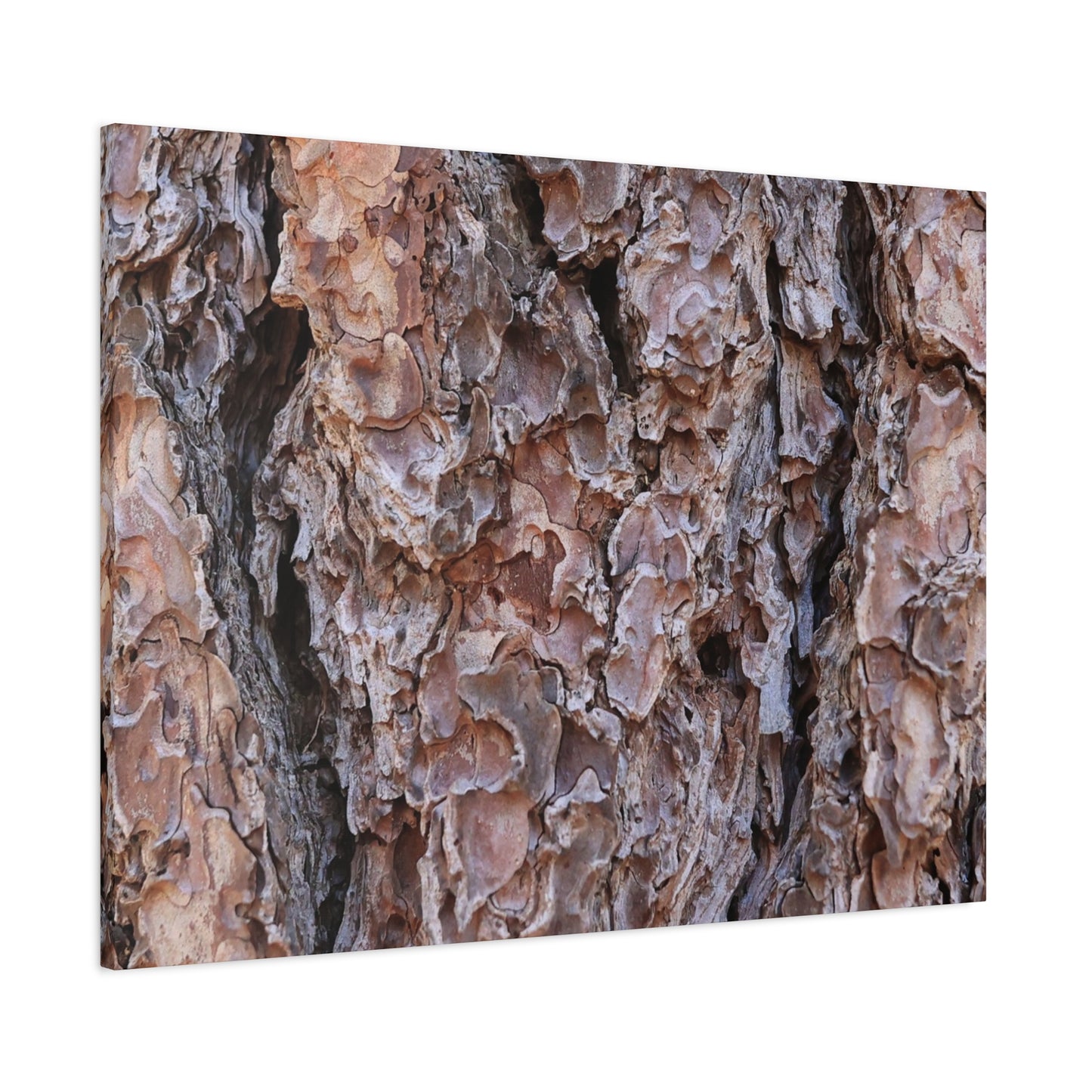 Rough Canvas - Unique Frameless Canvas Wall Art - Art By Earth