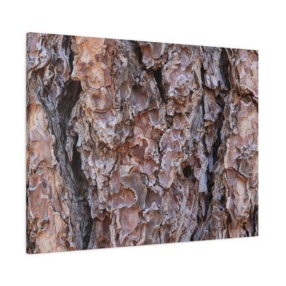 Rough Canvas - Unique Frameless Canvas Wall Art - Art By Earth