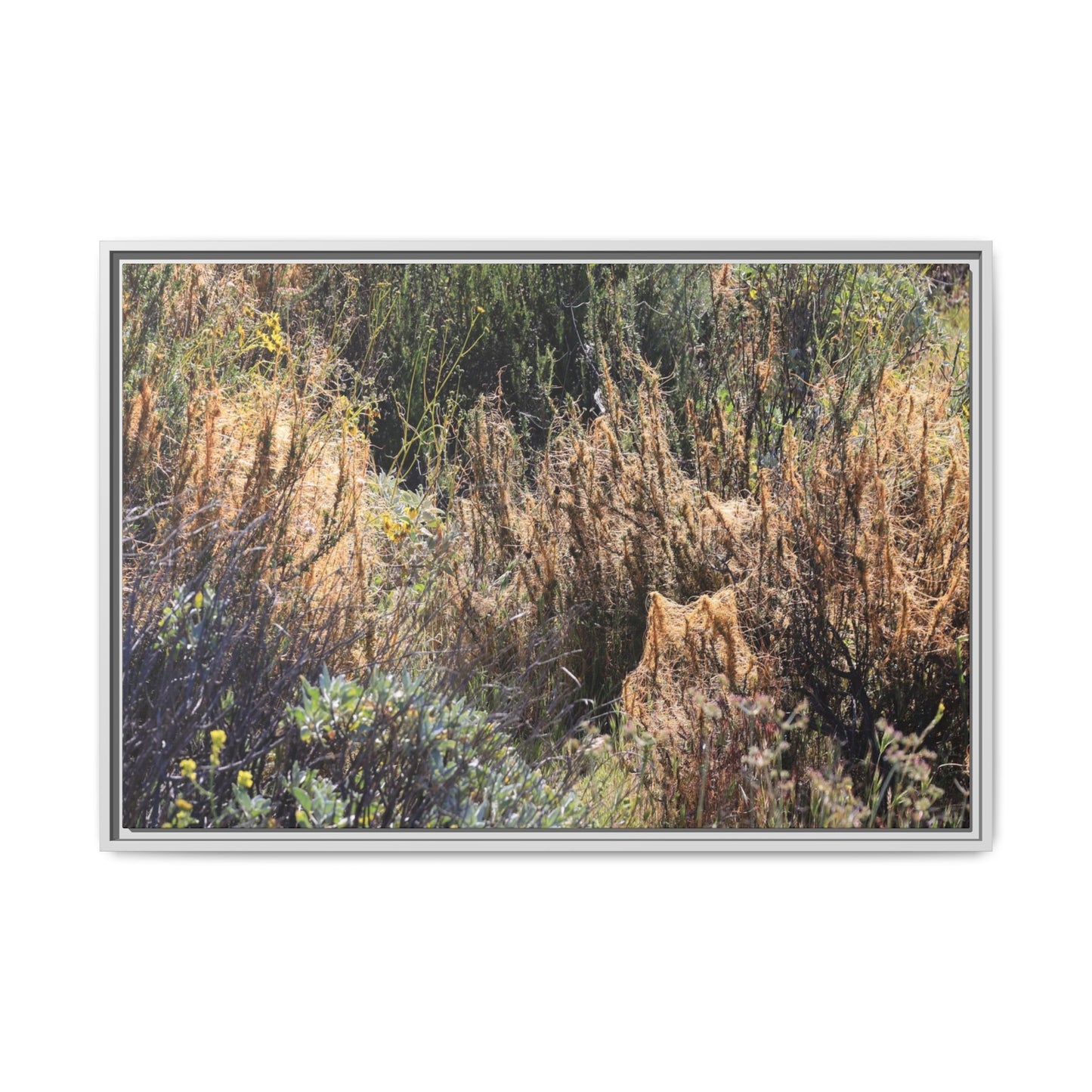 Drought-Stricken Landscape - Unique Stretched Canvas Wall Art - Art By Earth