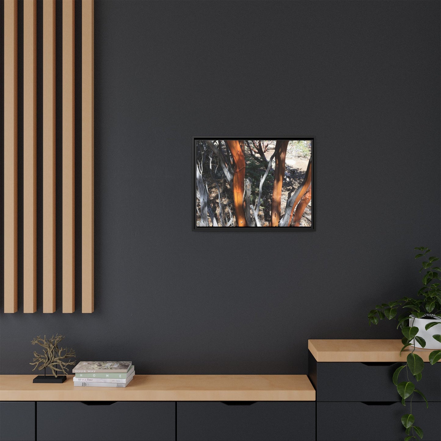 Eucalyptus Grove - Unique Stretched Canvas Wall Art