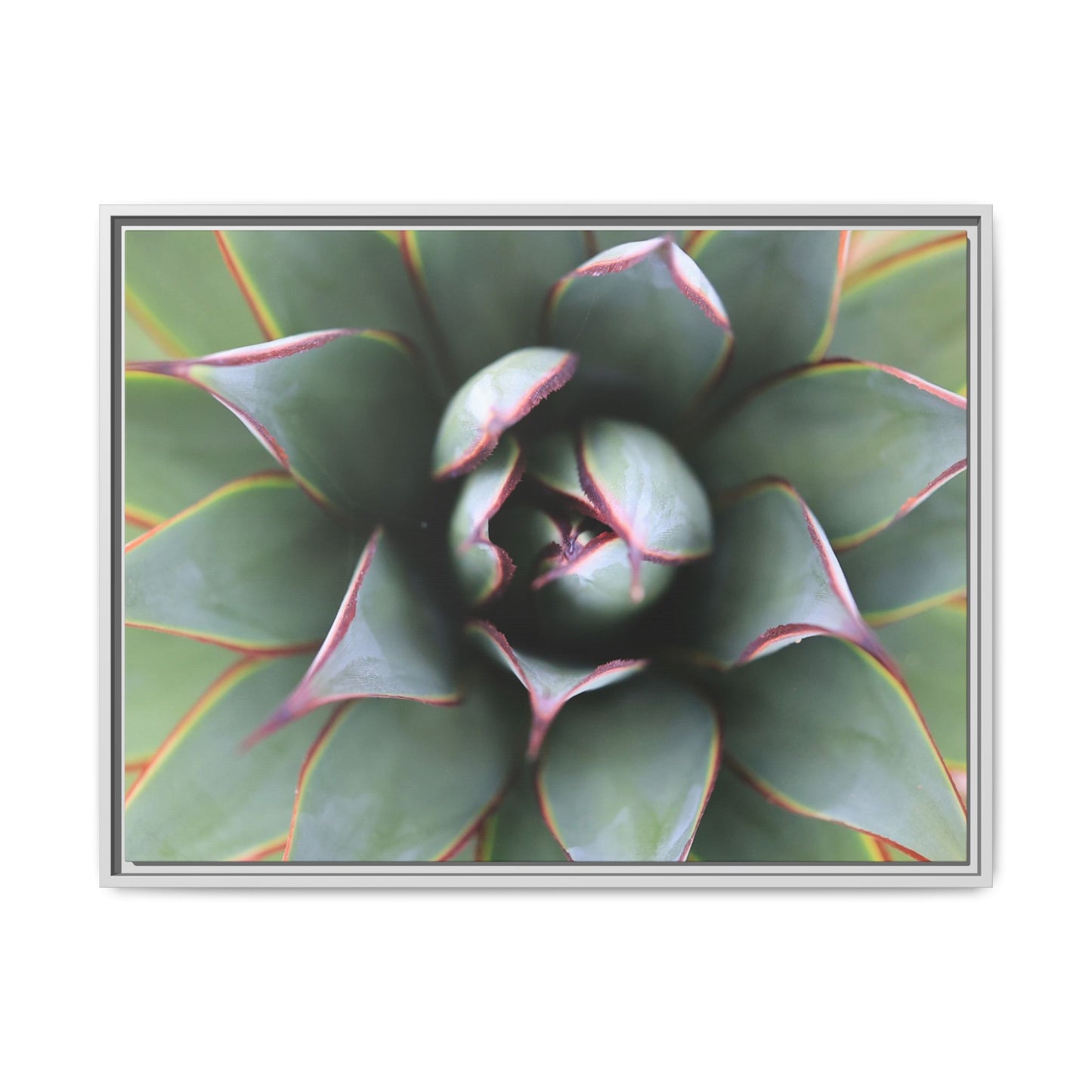 Spiky Elegance - Unique Stretched Canvas Wall Art - Art By Earth