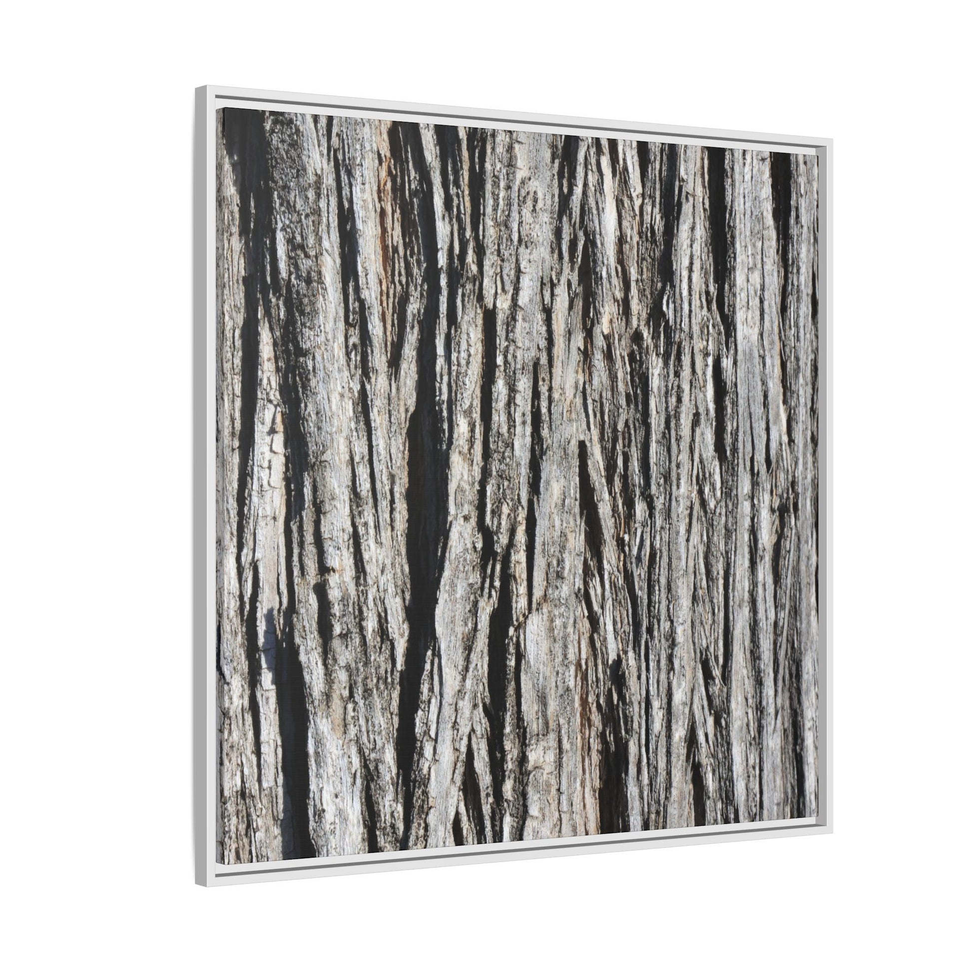 Nature's Abstract - Unique Stretched Canvas Wall Art - Art By Earth
