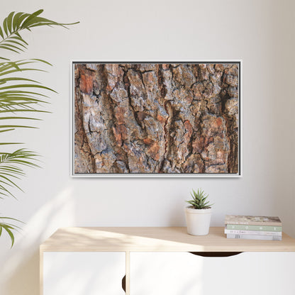 Tree's Timeworn Tale - Unique Stretched Canvas Wall Art - Art By Earth