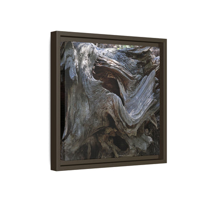 Twisted Memories - Unique Stretched Canvas Wall Art - Art By Earth