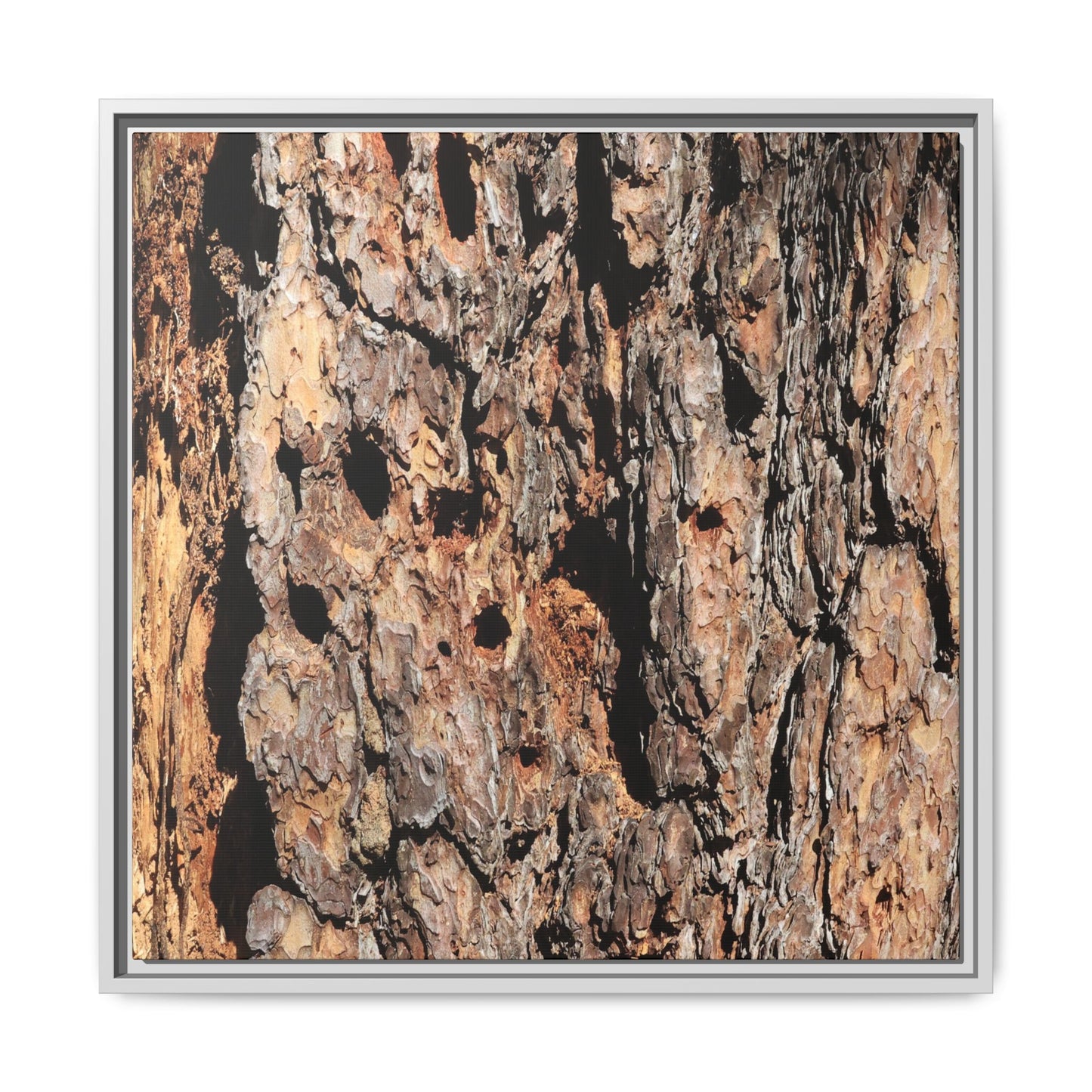 Rugged Rhythms - Unique Stretched Canvas Wall Art - Art By Earth