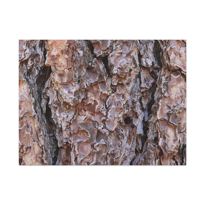 Rough Canvas - Unique Frameless Canvas Wall Art - Art By Earth