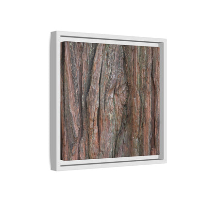 Rugged Textures - Unique Stretched Canvas Wall Art - Art By Earth