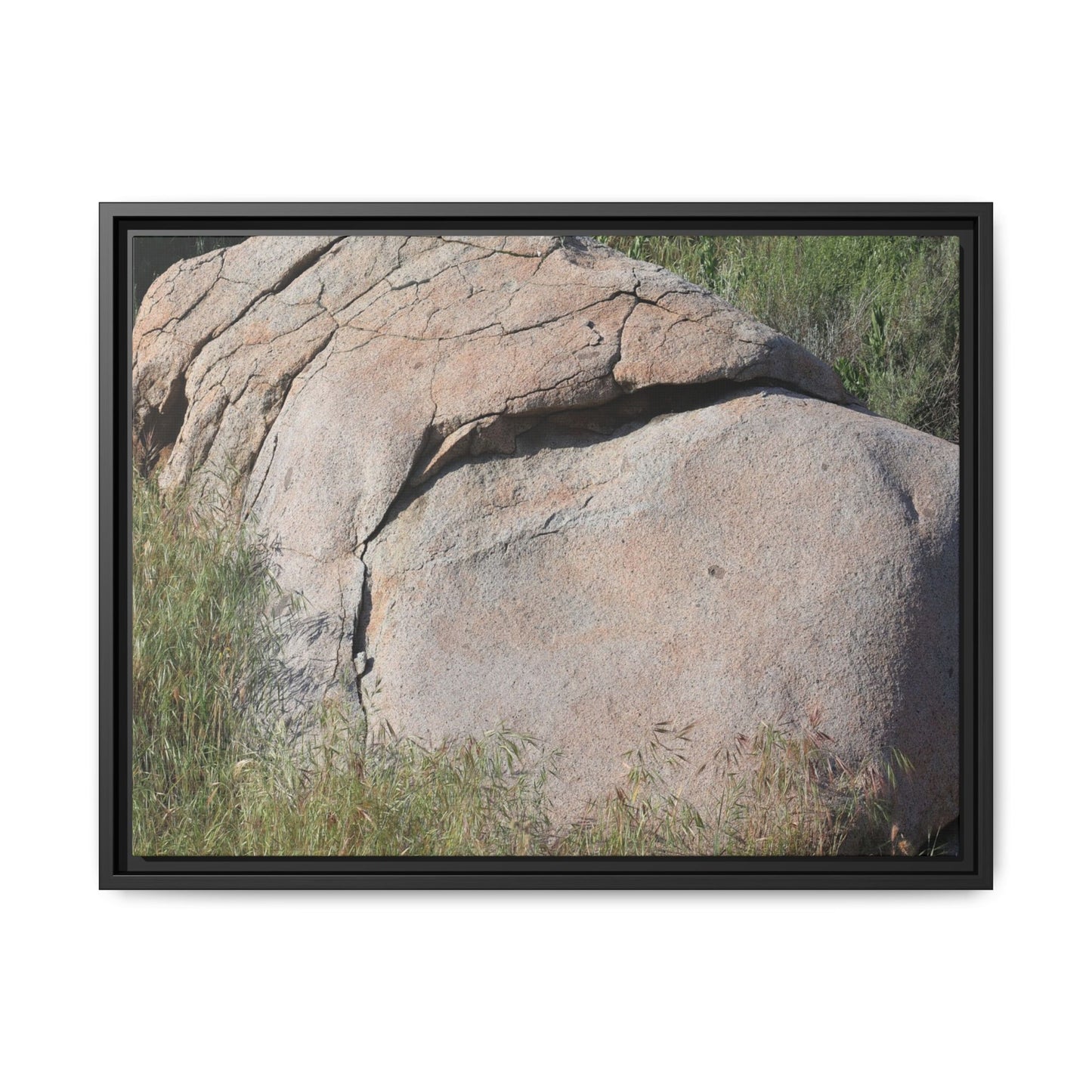 Stone Head Emerging from Earth - Unique Stretched Canvas Wall Art - Art By Earth