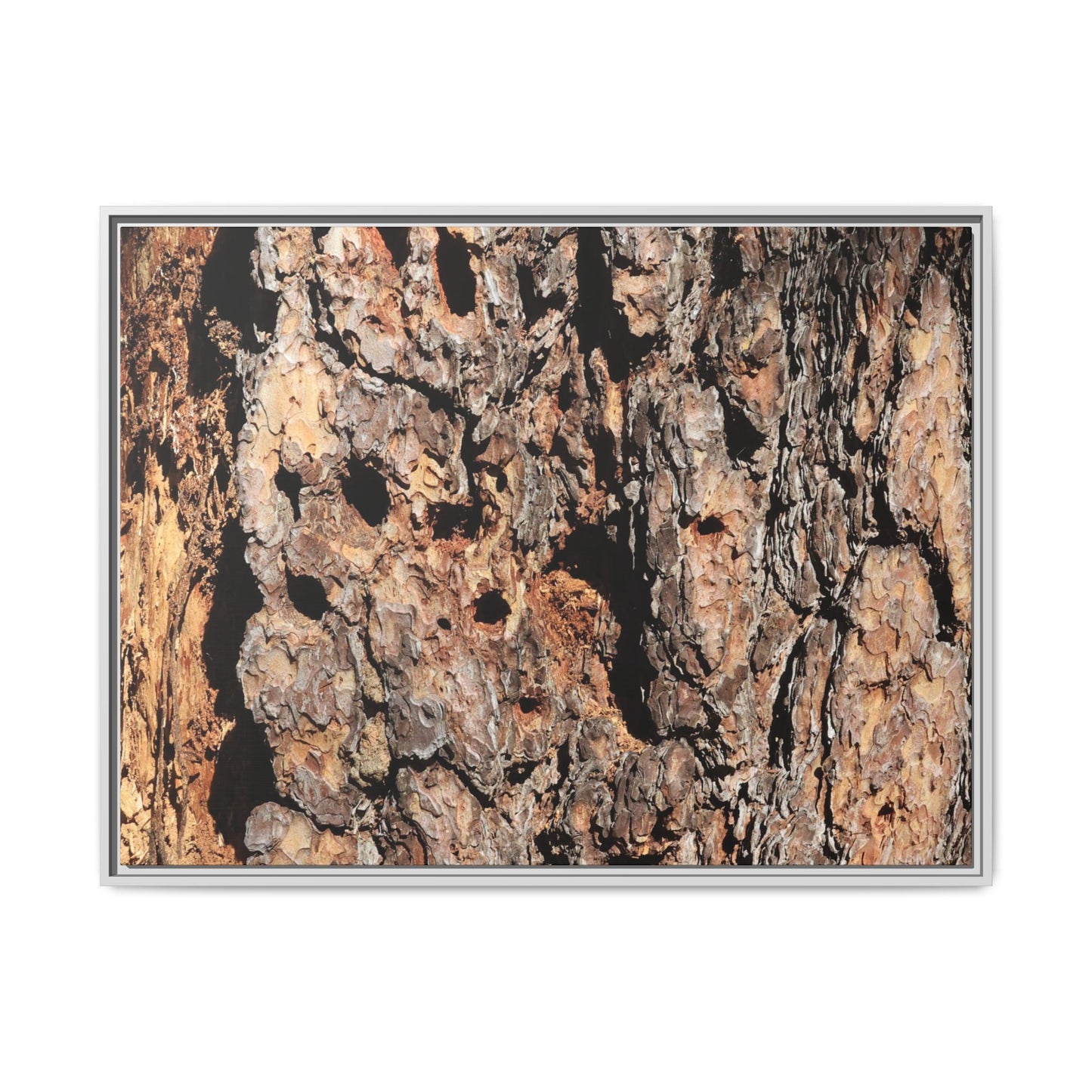 Rugged Rhythms - Unique Stretched Canvas Wall Art - Art By Earth