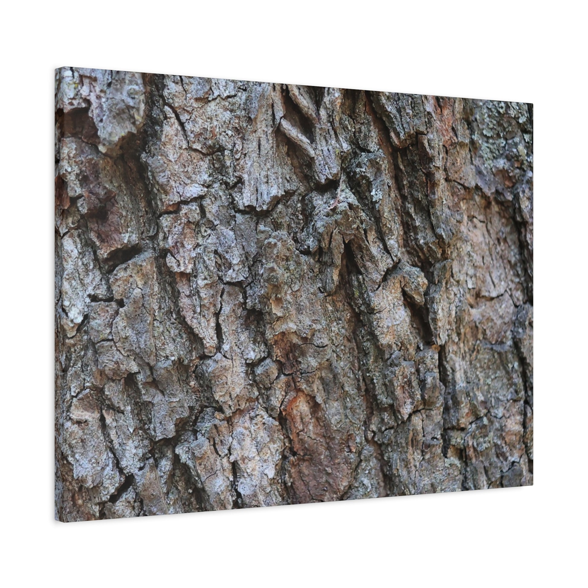 Rugged Canvas - Unique Frameless Canvas Wall Art - Art By Earth