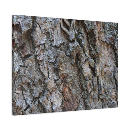 Rugged Canvas - Unique Frameless Canvas Wall Art - Art By Earth