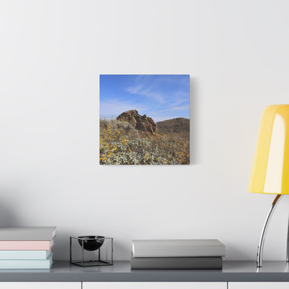 Desert Bloom - Unique Frameless Canvas Wall Art - Art By Earth