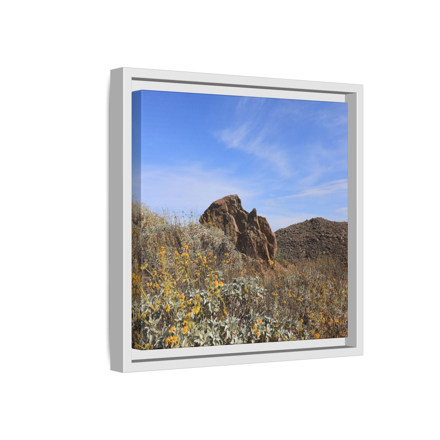 Golden Flowers in Arid Landscape - Unique Stretched Canvas Wall Art - Art By Earth