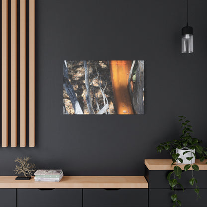 Burnt Forest Remnants - Unique Frameless Canvas Wall Art
