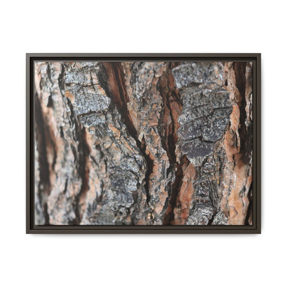 Fractured Nature - Unique Stretched Canvas Wall Art - Art By Earth