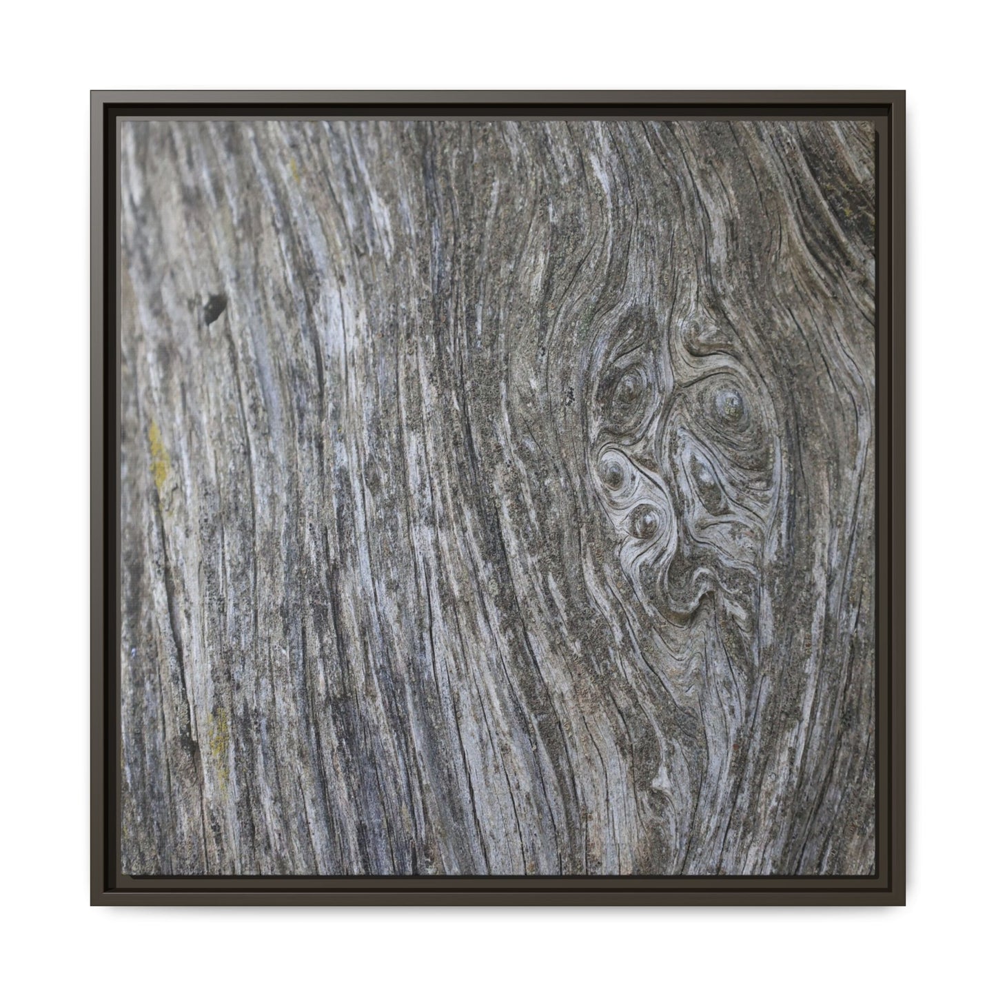 Eternal Knots - Unique Stretched Canvas Wall Art - Art By Earth