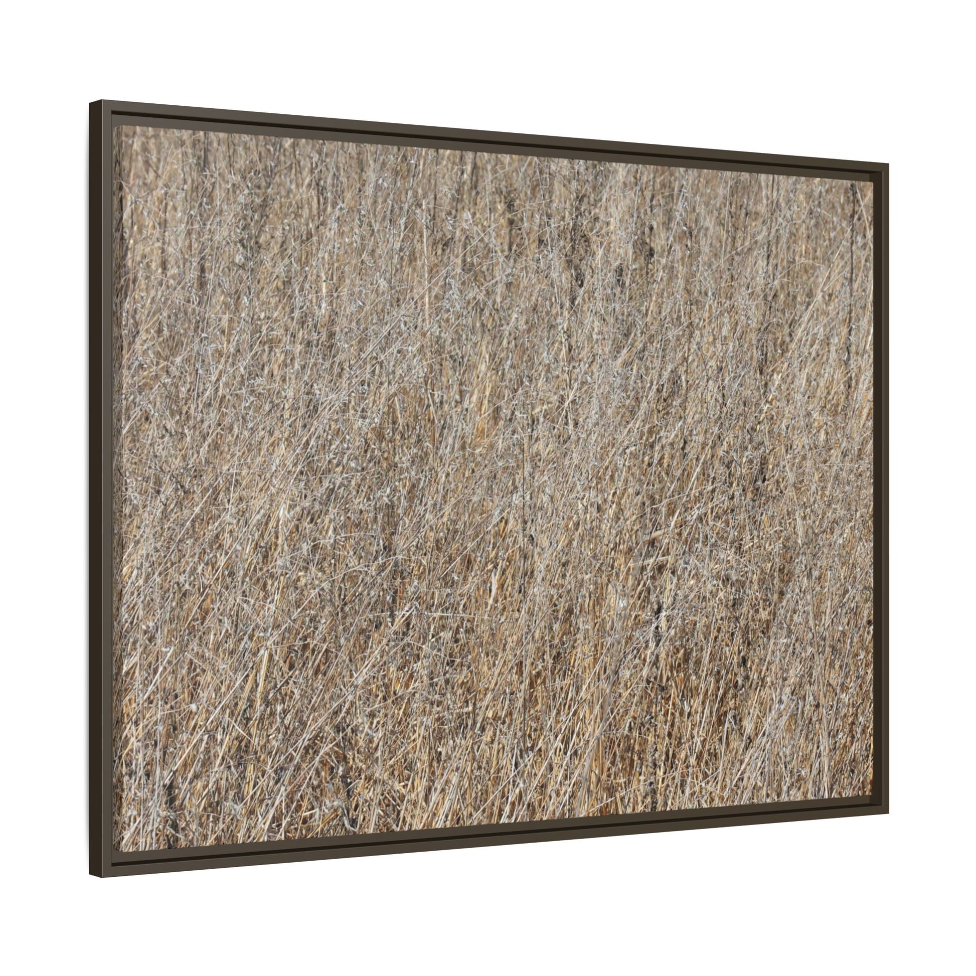 Dry Straw Symphony - Unique Stretched Canvas Wall Art - Art By Earth