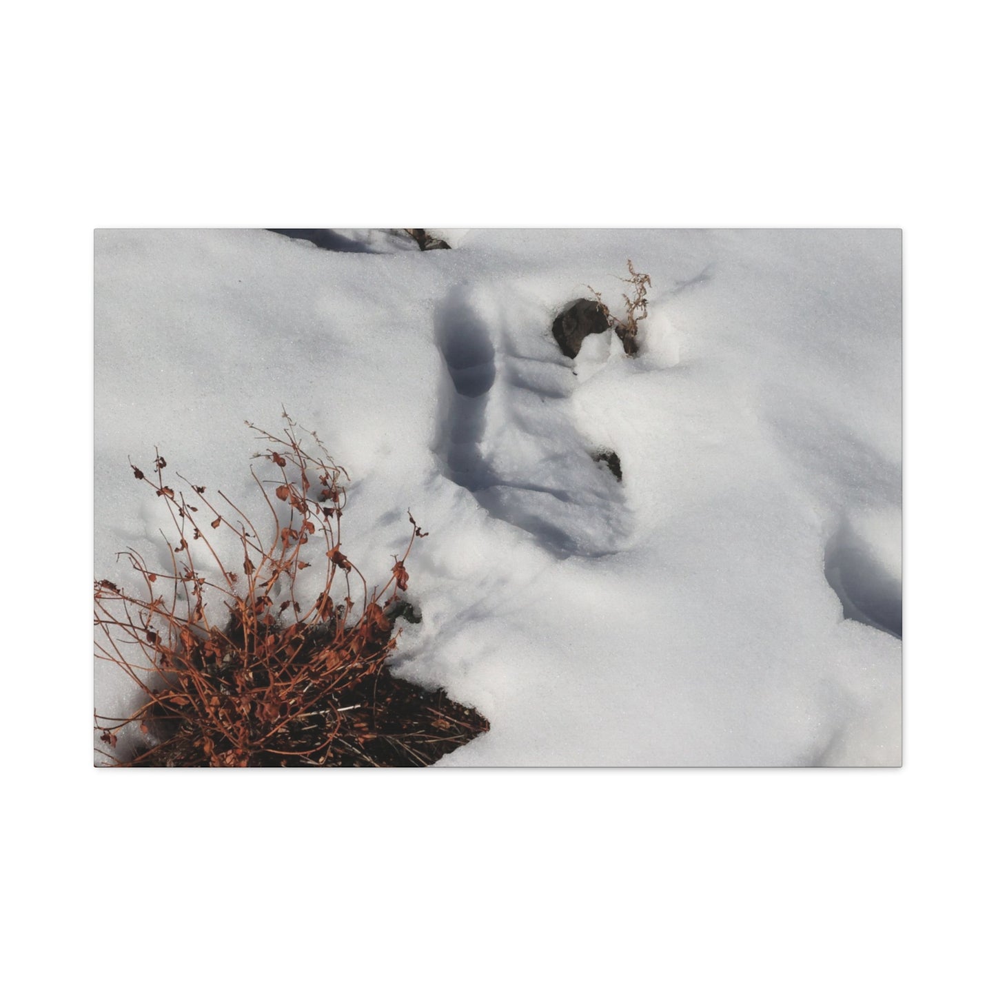 Snow's Tender Embrace - Unique Frameless Canvas Wall Art