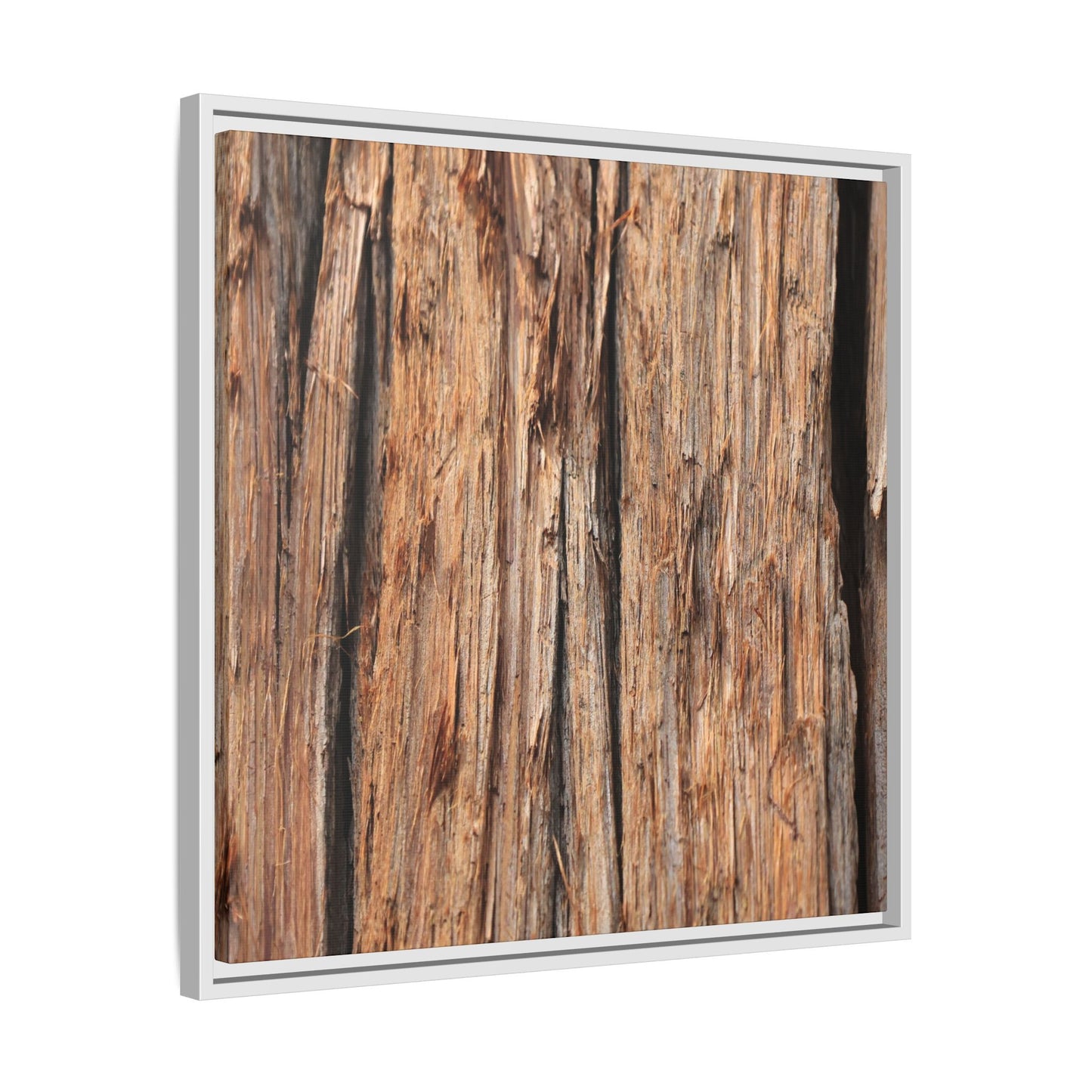 Timber Echoes - Unique Stretched Canvas Wall Art - Art By Earth