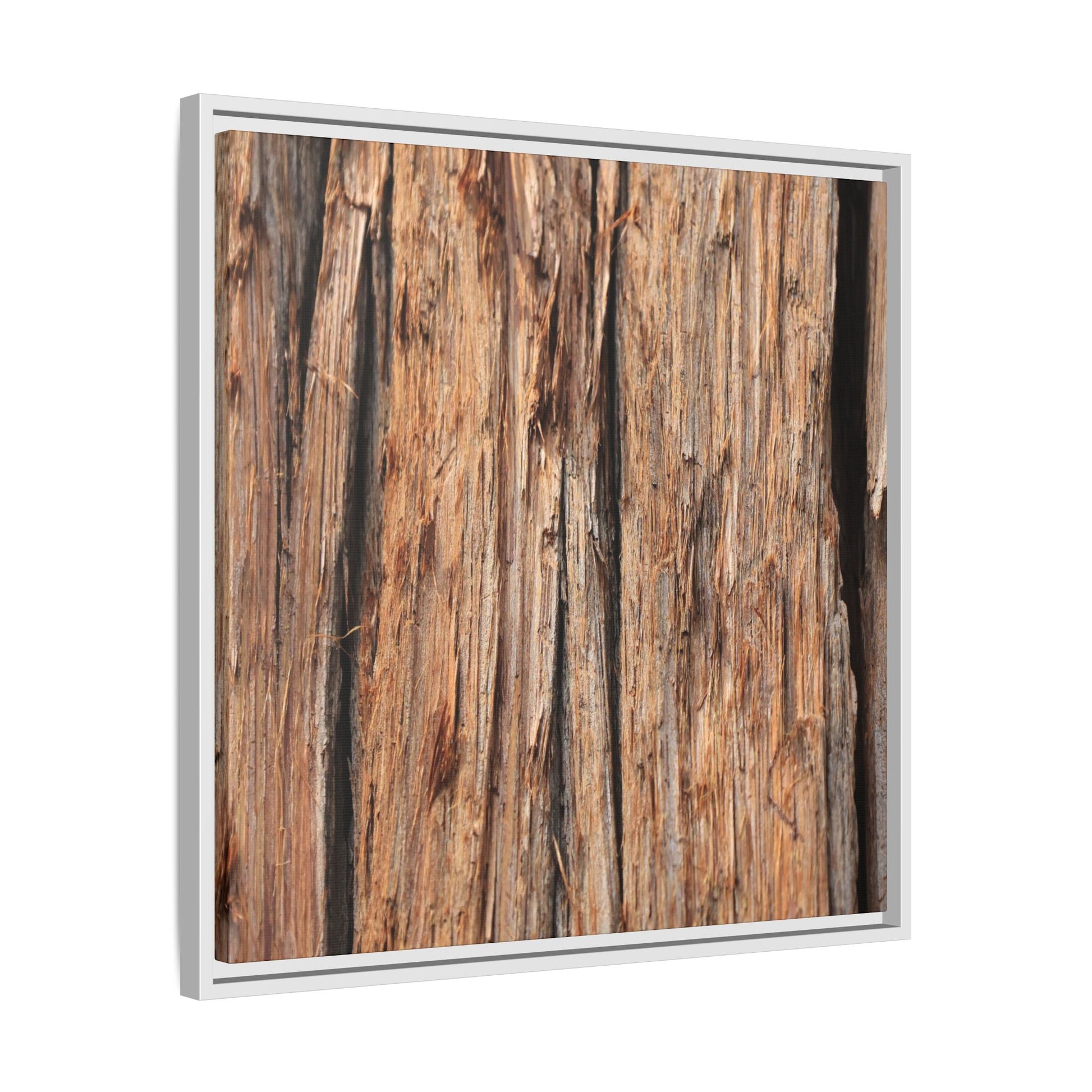 Timber Echoes - Unique Stretched Canvas Wall Art - Art By Earth