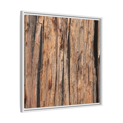 Timber Echoes - Unique Stretched Canvas Wall Art - Art By Earth