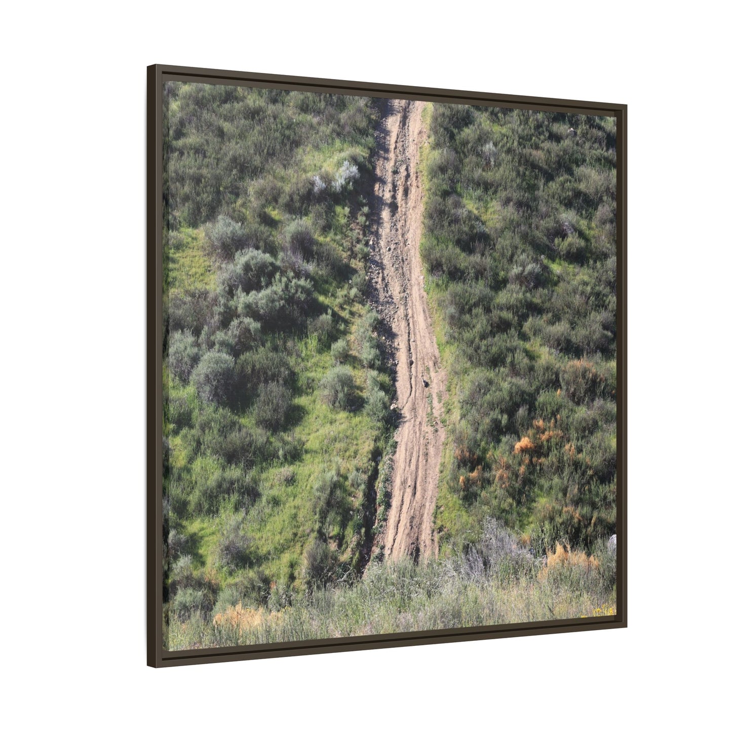 Desert Path Through Sage - Unique Stretched Canvas Wall Art - Art By Earth