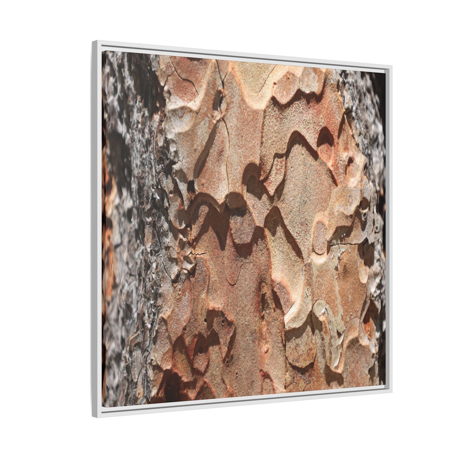 Rust and Stone - Unique Stretched Canvas Wall Art - Art By Earth