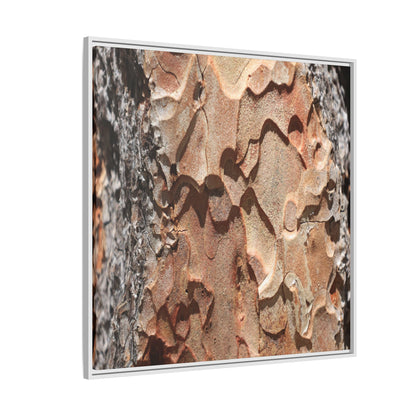 Rust and Stone - Unique Stretched Canvas Wall Art - Art By Earth