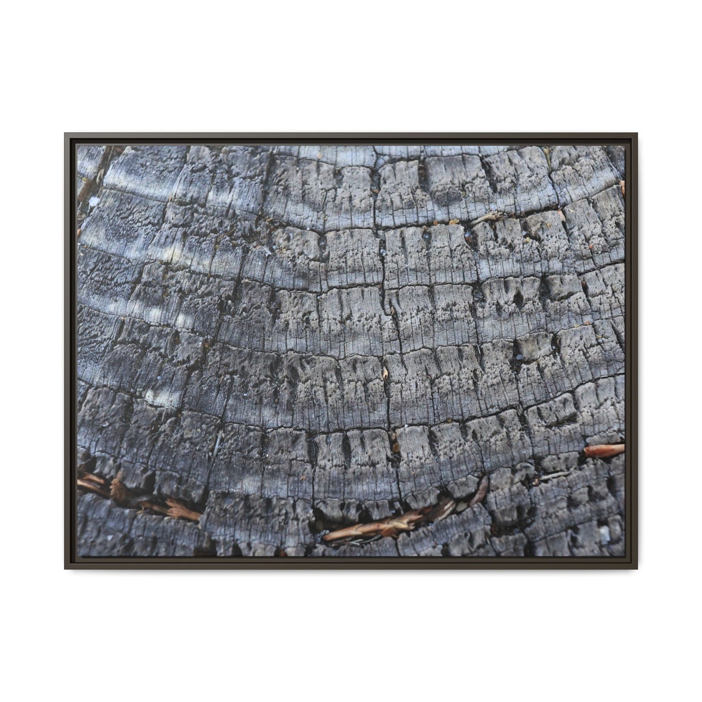 Charred Memories - Unique Stretched Canvas Wall Art - Art By Earth