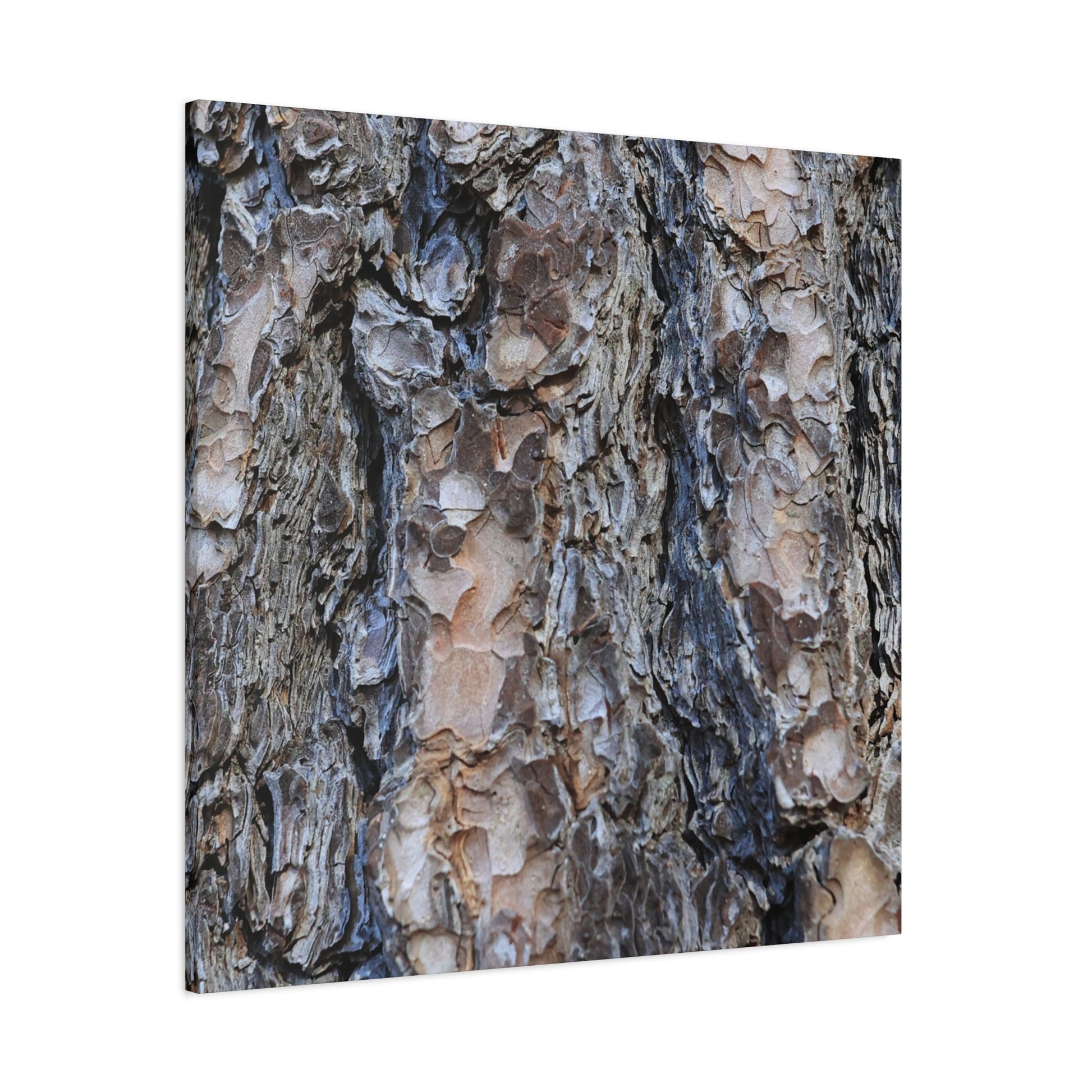 Arboreal Patterns - Unique Frameless Canvas Wall Art - Art By Earth
