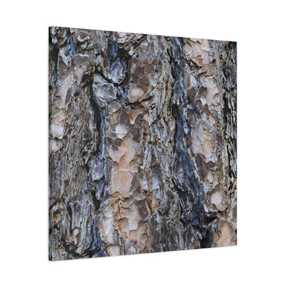 Arboreal Patterns - Unique Frameless Canvas Wall Art - Art By Earth