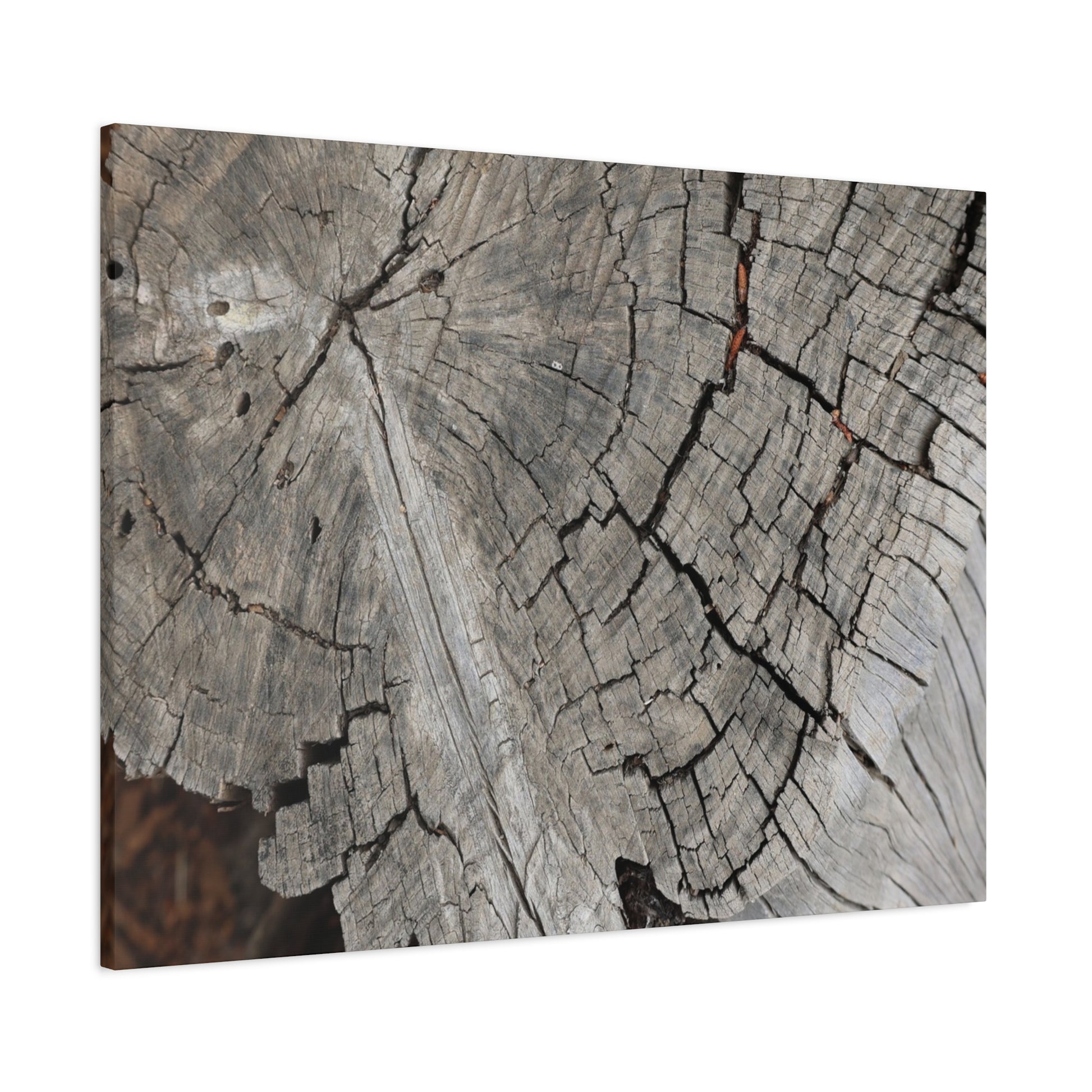 Cracked Memories - Unique Frameless Canvas Wall Art - Art By Earth