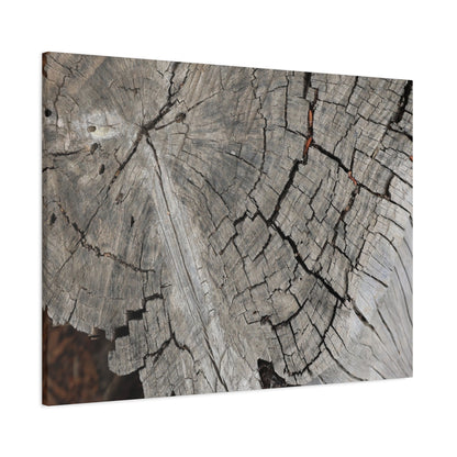 Cracked Memories - Unique Frameless Canvas Wall Art - Art By Earth