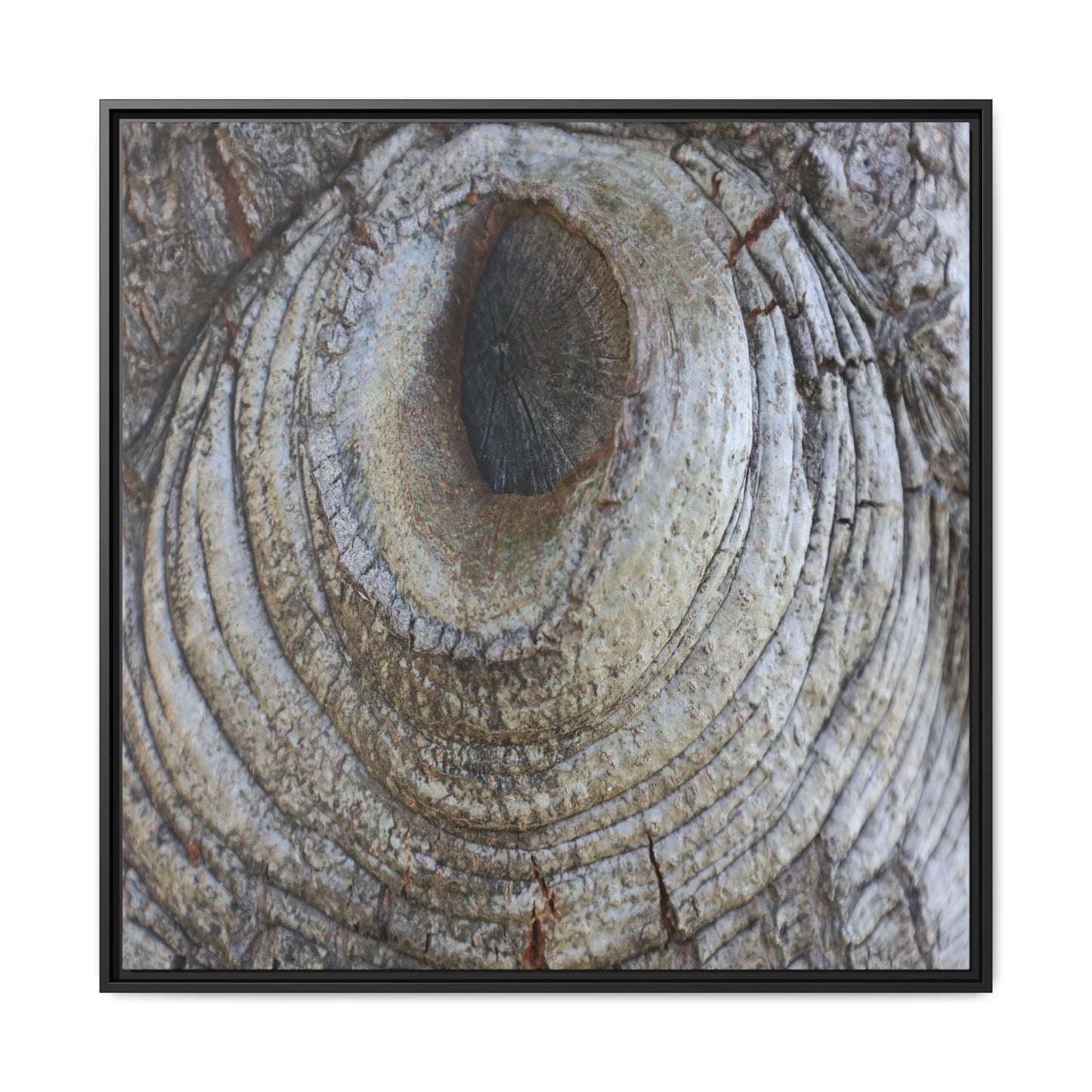 Echoes of Time - Unique Stretched Canvas Wall Art - Art By Earth