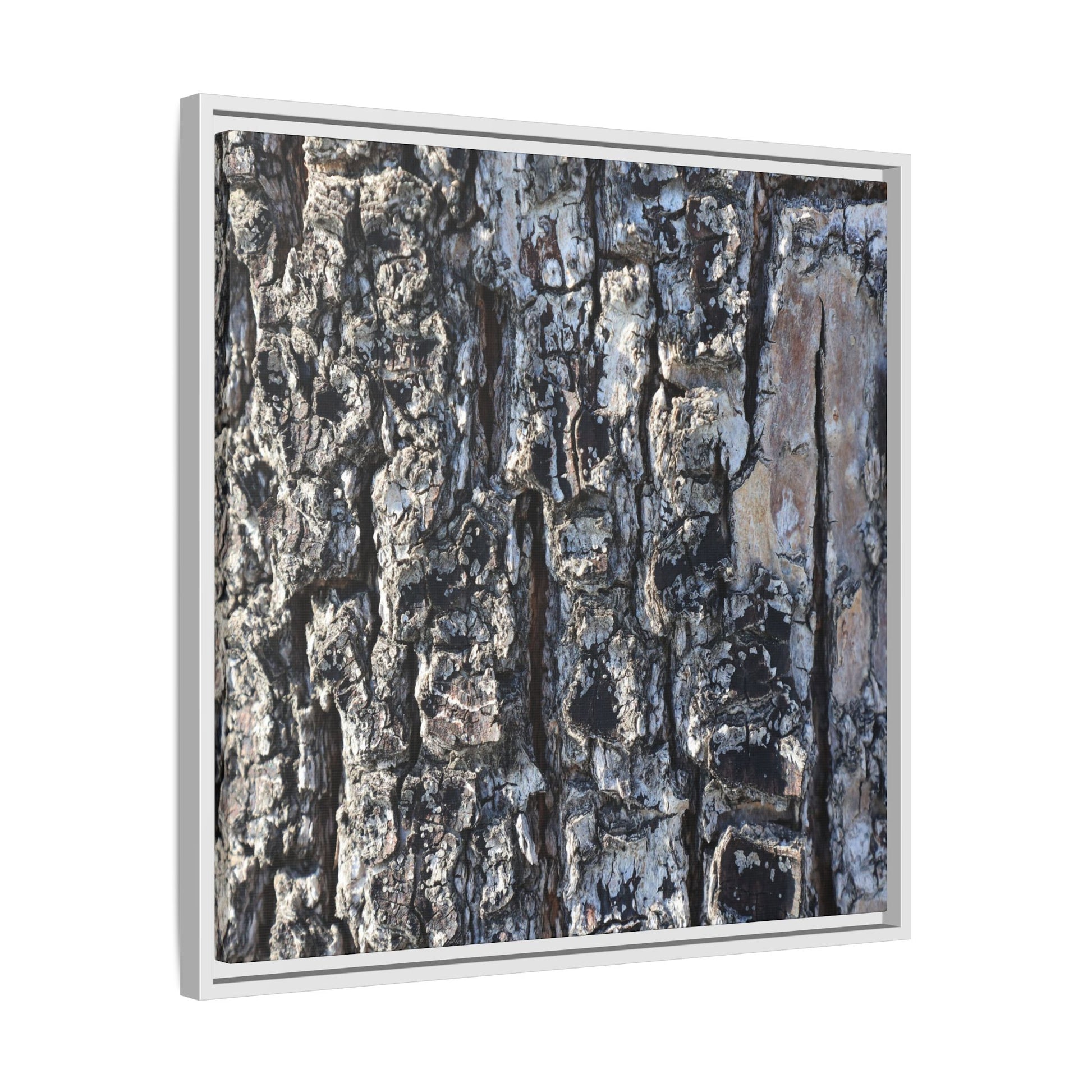 The Bark Chronicles - Unique Stretched Canvas Wall Art - Art By Earth
