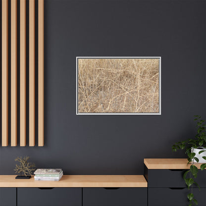 Golden Stalks - Unique Stretched Canvas Wall Art - Art By Earth