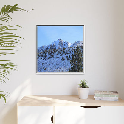 Snow's Embrace - Unique Stretched Canvas Wall Art